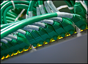 Cables verdes etiquetados y distribuidos.